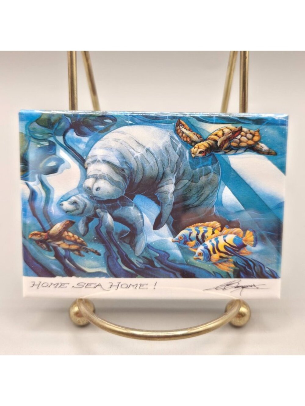 Home Sea Home Jody Bergsma Refrigerator Magnet Art Made In Canada